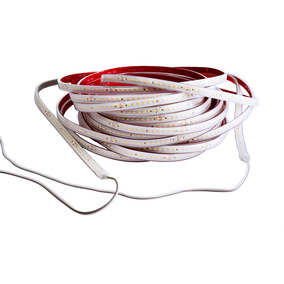 LED Stripes ab IP44 bei Elektro Hörnlein GmbH in Dessau-Roßlau