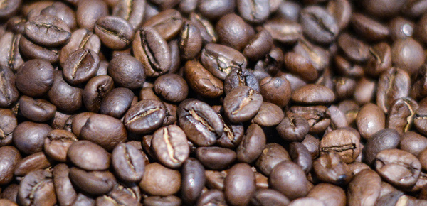 Kaffee­maschinen bei Elektro Hörnlein GmbH in Dessau-Roßlau