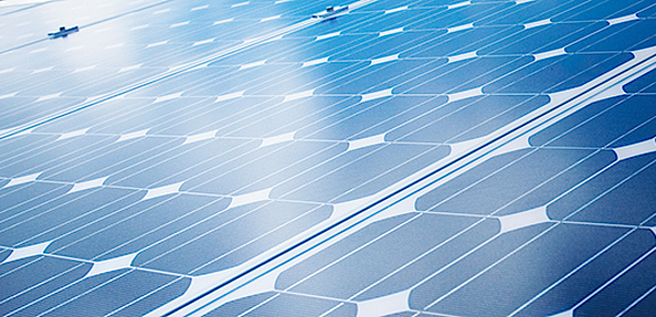 Photovoltaik bei Elektro Hörnlein GmbH in Dessau-Roßlau